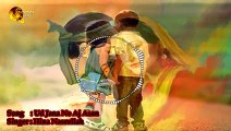 Ud Jana Ne Aj Asan | Hina Nasrullah | Punjabi Love Song | Gaane Shaane