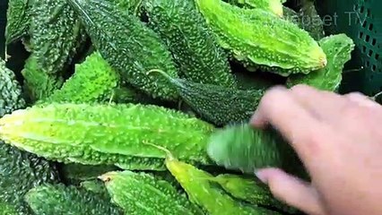 Cancer Fighting Foods