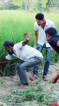 Il sort un serpent des fourrés.. LOL c'est une ceinture !