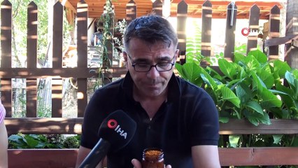 İçinde 70’e yakın vitamin olan şifa kaynağı polenin bilinmeyen yönleri