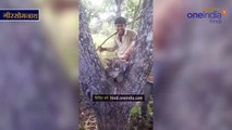तेंदुए के बच्चे के साथ तीन युवकों का वीडियो हो रहा है वायरल, जानें क्यों ढूंढ रहा है वन विभाग