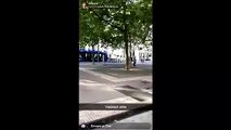 À l'aise, un chien fait de la trottinette dans les rues de Montpellier
