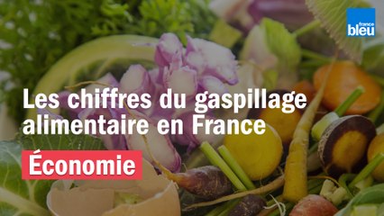 Les chiffres du gaspillage alimentaire en France