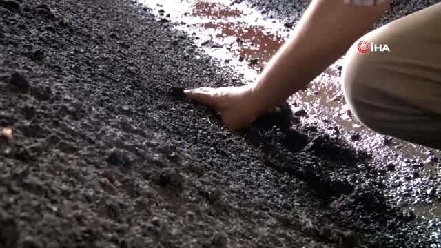 Organik solucana talep olmayınca solucanlar elde kaldı