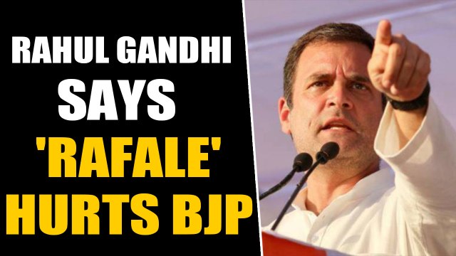 Rahul Gandhi says Rafale is still hurting BJP | OneIndia News