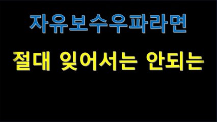 자유보수우파라면 절대 잊어서는 안 될 저들의 만행 | 우리는 이렇게 그녀를 잃었습니다 | 대한민국 제 18대 대통령 박근혜