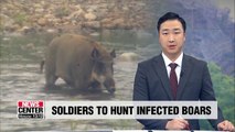 S. Korean soldiers to cull wild boars in areas with African swine fever