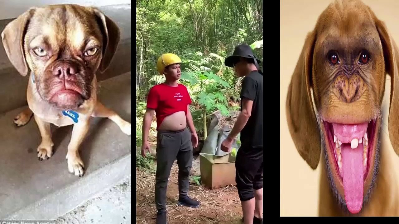 Funny Fails Video 2019 .KUNG FU grabbed tight bricks, stones, iron wrench.