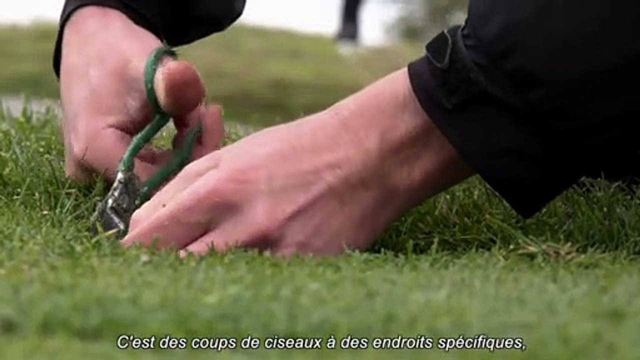 Amundi Open de France : l'Albatros se prépare (n°3)