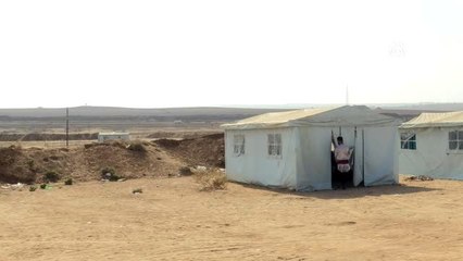 Gazze'de zeytin hasadı başladı