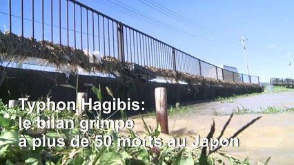 Typhon Hagibis: au moins 56 morts au Japon