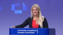 La Comisión Europea 