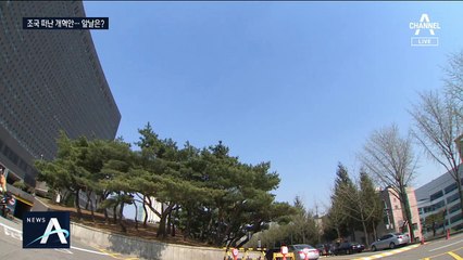조국, 사퇴 3시간 전 “특수부 축소” 쐐기…동력 유지되나?