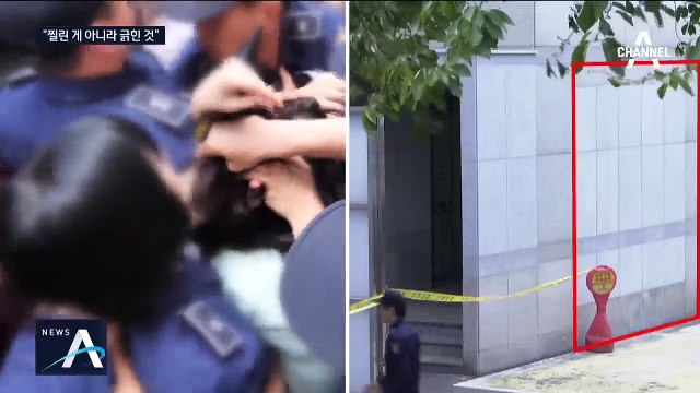 “고유정 배 상처는 찔린 게 아니라 긁힌 것”…또 우발살인 주장