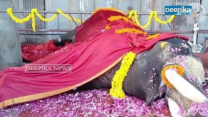 ജനമനസുകളിലേക്ക് 'നടന്നു കയറിയ' പാറമേക്കാവ് രാജേന്ദ്രന്‍! Paramekkavu Rajendran