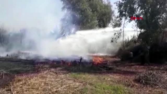 Antalya ırmak kenarında yangın korkuttu
