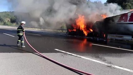 Anadolu Otoyolu'nda tır yangını (2)