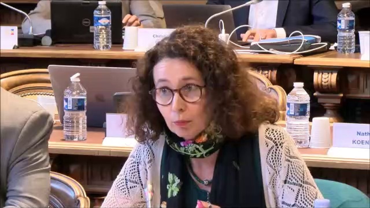 Sandrine HILY. Projet alimentaire territorial. Session DM2 du 14 octobre 2019