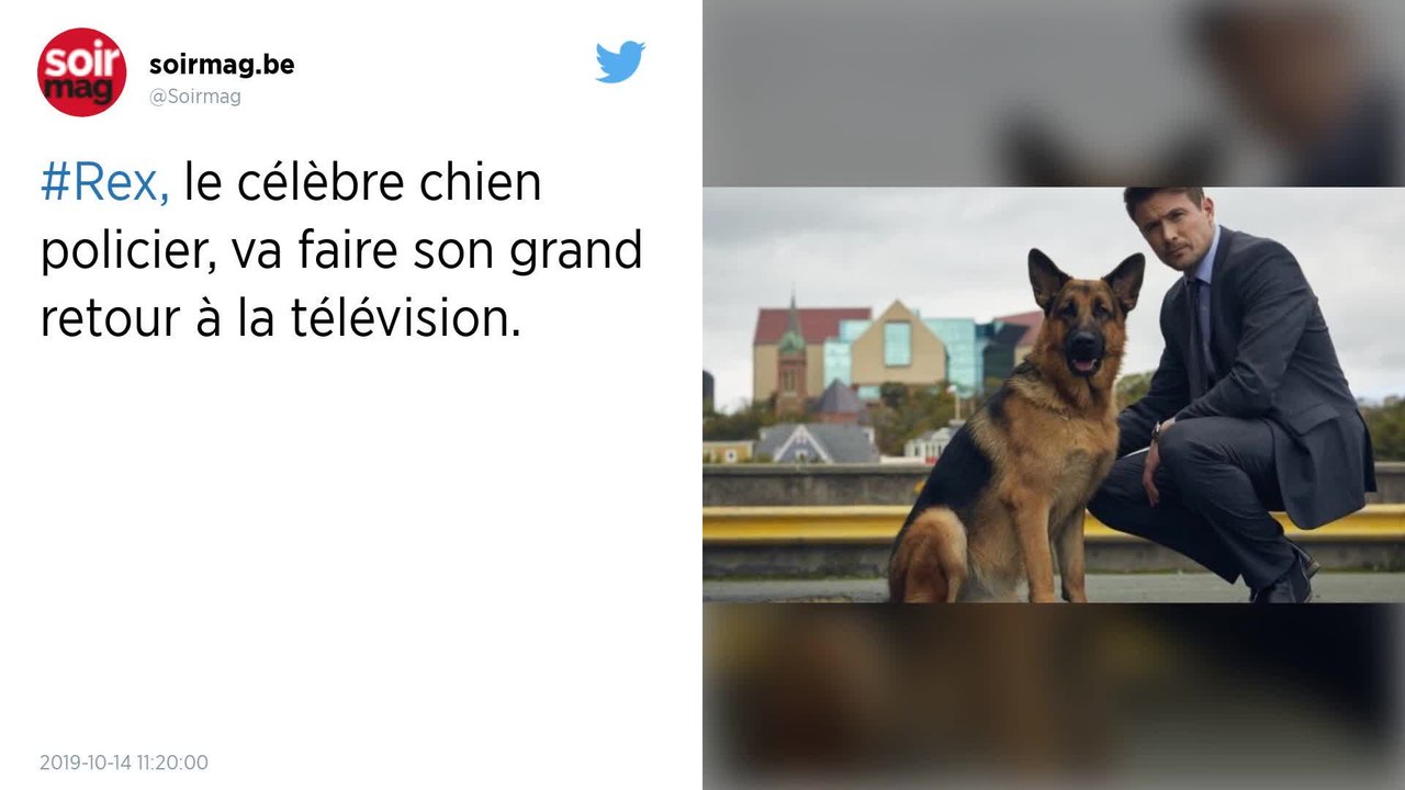 Le chien policier Rex va faire son retour à la télé
