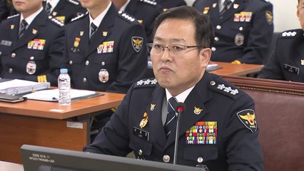 서울경찰청 국감, 버닝썬 부실 수사 질타 / YTN