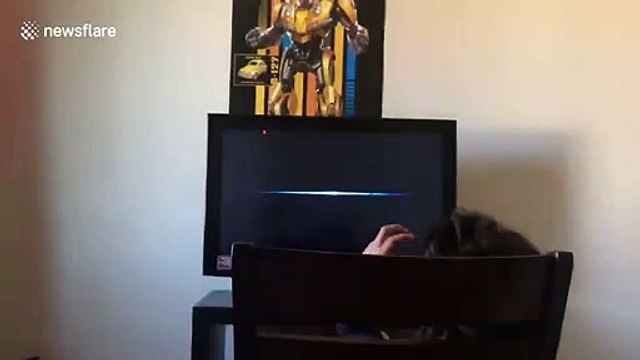 'I want the old map!' Eight-year-old bursts into tears during Fortnite's blackout