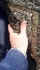 Exterior of Donegal home crumbles in hand