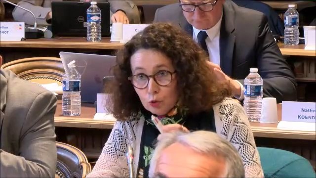 Sandrine HILY. Stratégie départementale de l'eau 2019-2024. 14 octobre 2019