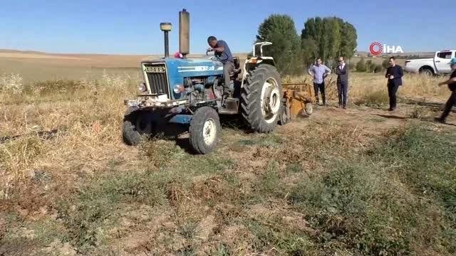 - Yozgat'ta yerli patates hasadı yapıldı