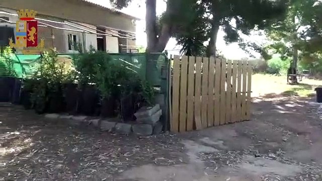 Italie : La police découvre une gigantesque plantation de marijuana derrière une douche !