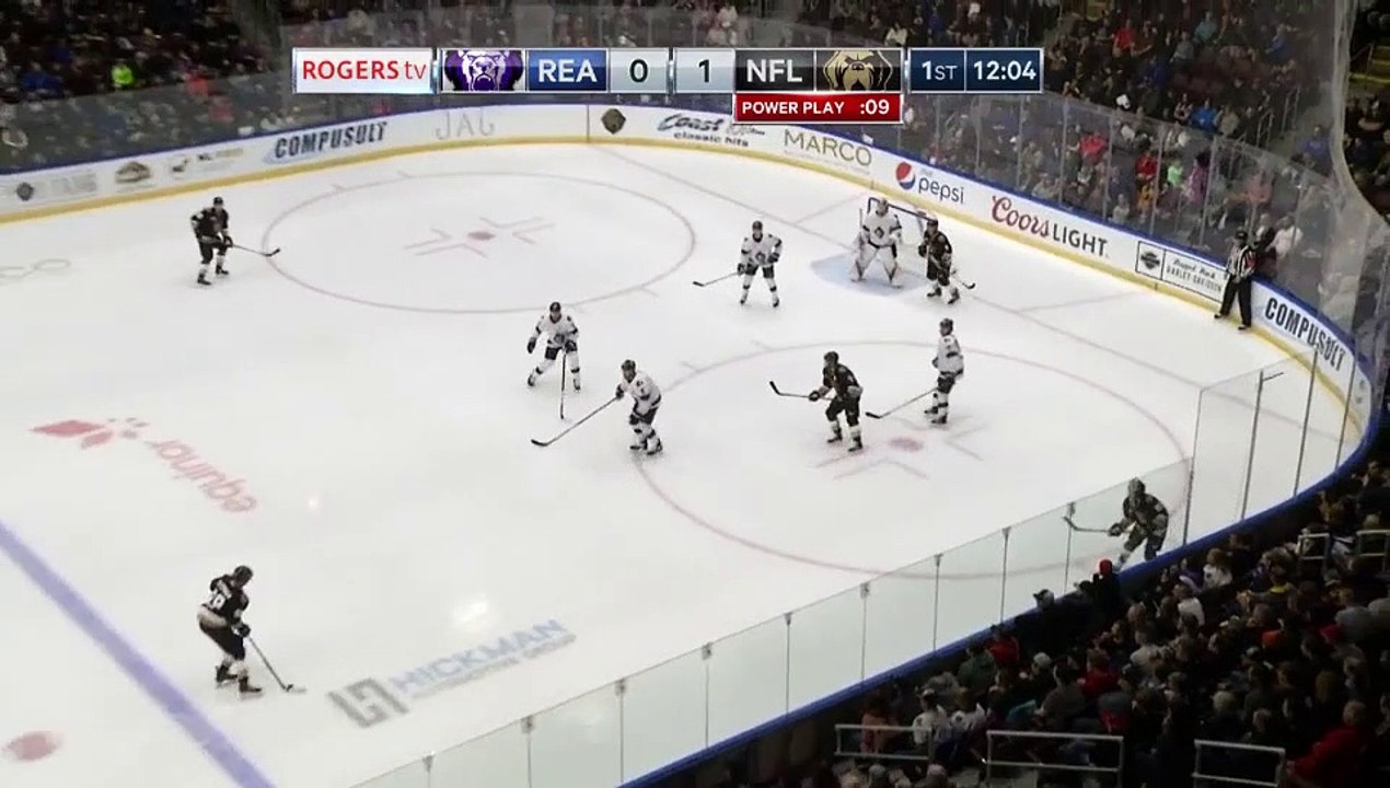 ECHL Reading Royals at Newfoundland Growlers video Dailymotion
