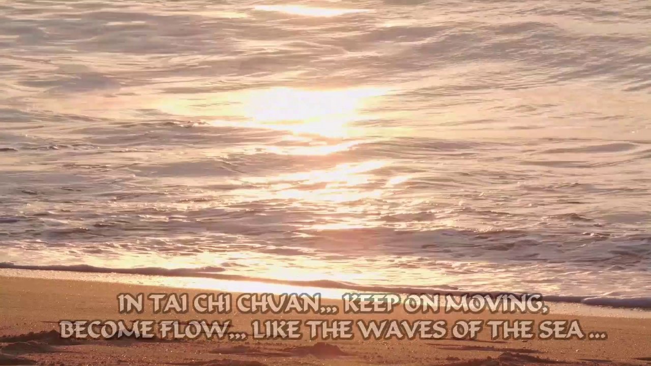 Tai Ji - The Flow of Tai Chi Chuan | martial arts by Laura Bonthuis