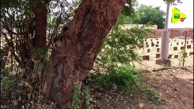 Cimetière Bakhiya : L'histoire jamais racontée sur l'inhumation de Cheikh Béthio Thioune