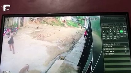 Viatura da PM atropela cachorro e dona de animal é detido por desacato em Coari