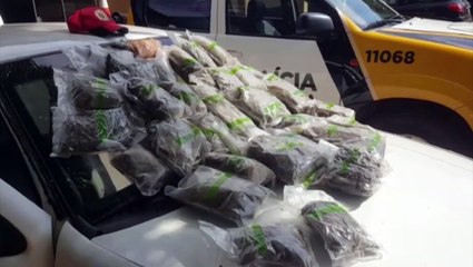 PRE apreende quase 15 quilos de maconha dentro de Gol na PR-180