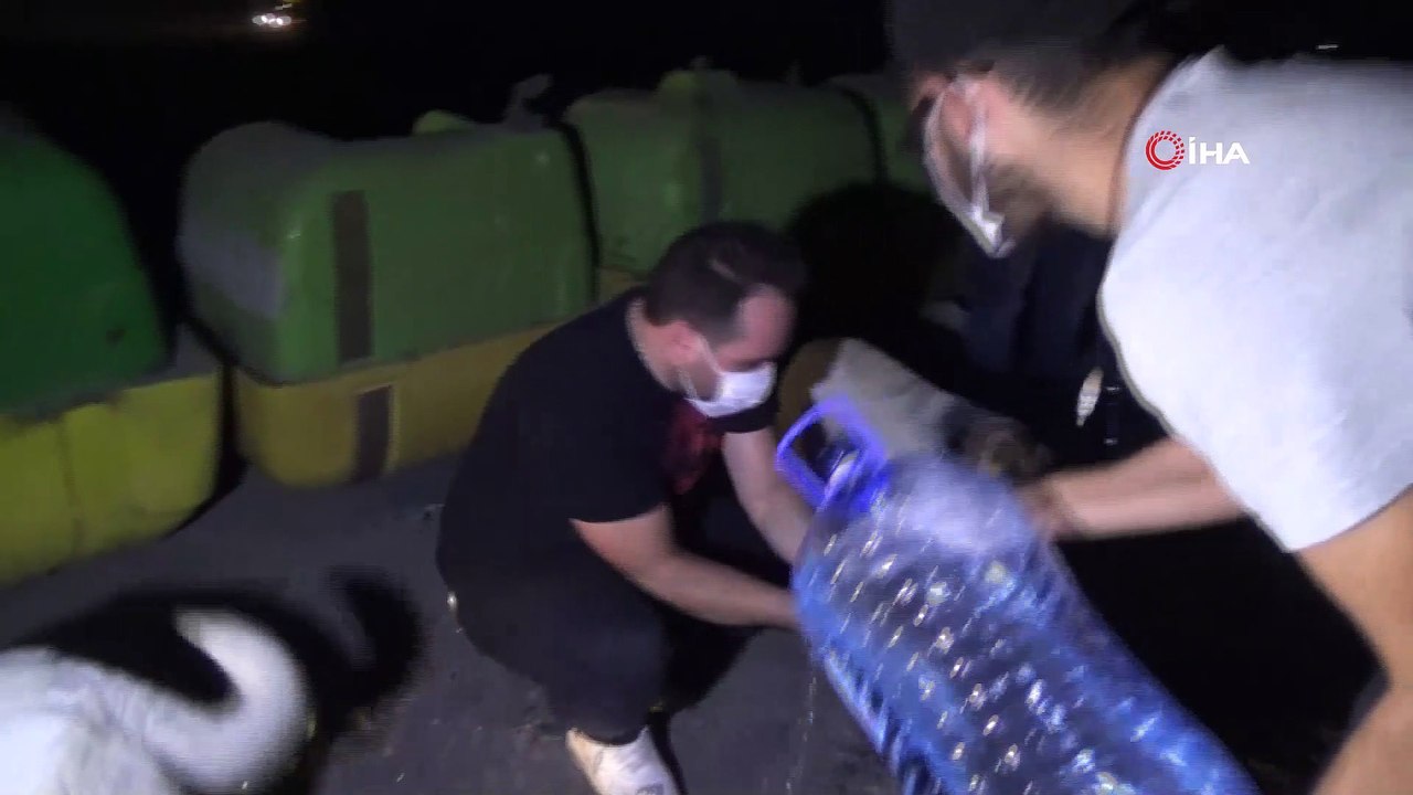 Sosyal medya üzerinden toplanan gençler hayvanları sahipsiz bırakmadı