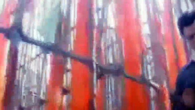 Ya Ali — Zubeen Garg | From Gangster: A Love Story — 2006 | Hindi / Movie / Edition Prestige / Bollywood / Songs / Magic / Indian Collection / भाषा: हिंदी | बॉलीवुड की सबसे अच्छी