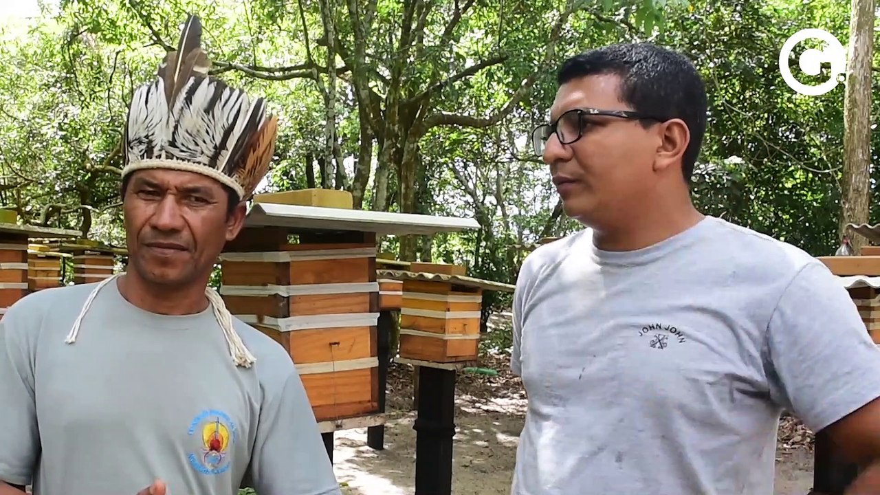 Mel de comunidades indígenas de Aracruz conquista os chefs dos mais conceituados restaurantes do Brasil