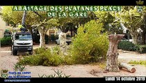 Abattage des platanes place de la gare à TRETS 15OCT2019