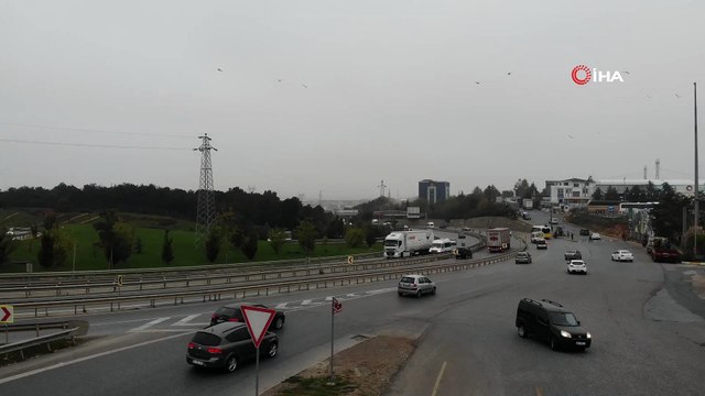 İstanbullular güne sis ile uyandı