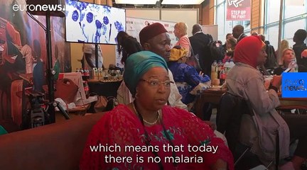 African ministers say eradication of malaria by 2030 will take more than just money