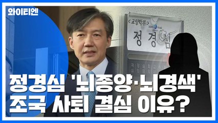 "정경심, '뇌종양·뇌경색' 진단"...조국 사퇴 결심 이유됐나 / YTN
