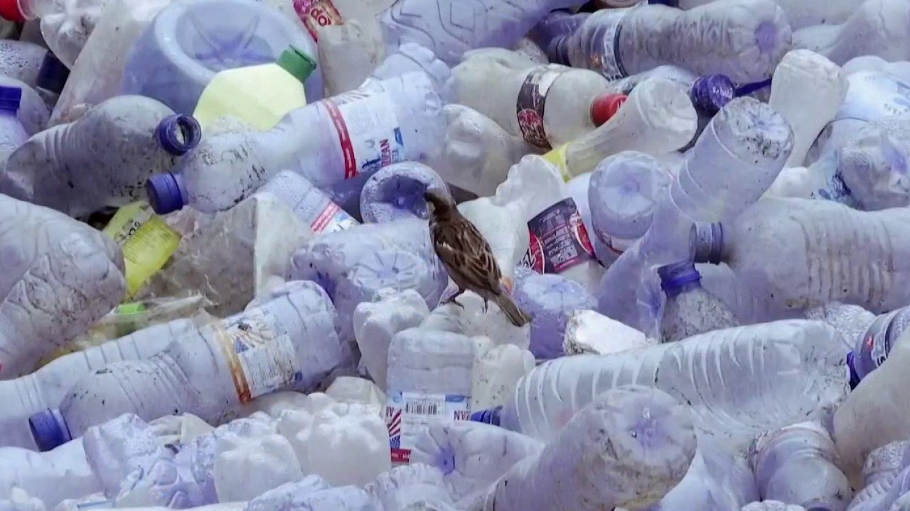 Sciences - Le bio plastique dernière génération
