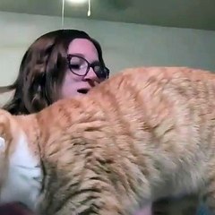 Ce matou tente de voler le café de sa maîtresse