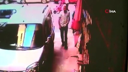 Şanslı kedi, 5. kattan dört ayak üstüne düştü