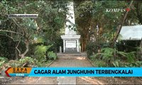 Miris! Taman Junghuhn, Cagar Alam Jawa Barat yang Terbengkalai