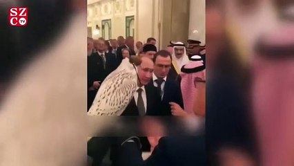 Putin-Selman görüşmesine damga vuran an! Hediye kuş halıya pisledi