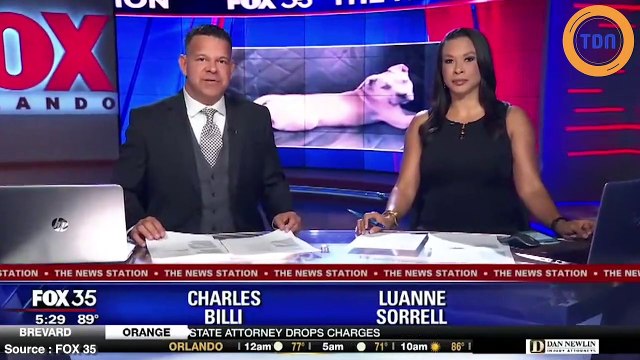 Un chiot de 8 mois perd la vie en protégeant les deux enfants de ses maitres des morsures d’un serpent