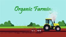 Benedict T. Palen, Jr - Organic Farming Basic Methods and Introduction