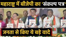 Maharashtra Election: BJP का Sankalp Patra जारी,  One Crore jobs देने का  promise | वनइंडिया हिंदी