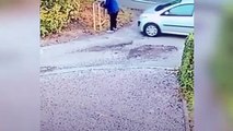 Mujer se descuida y se atropella con su propio coche